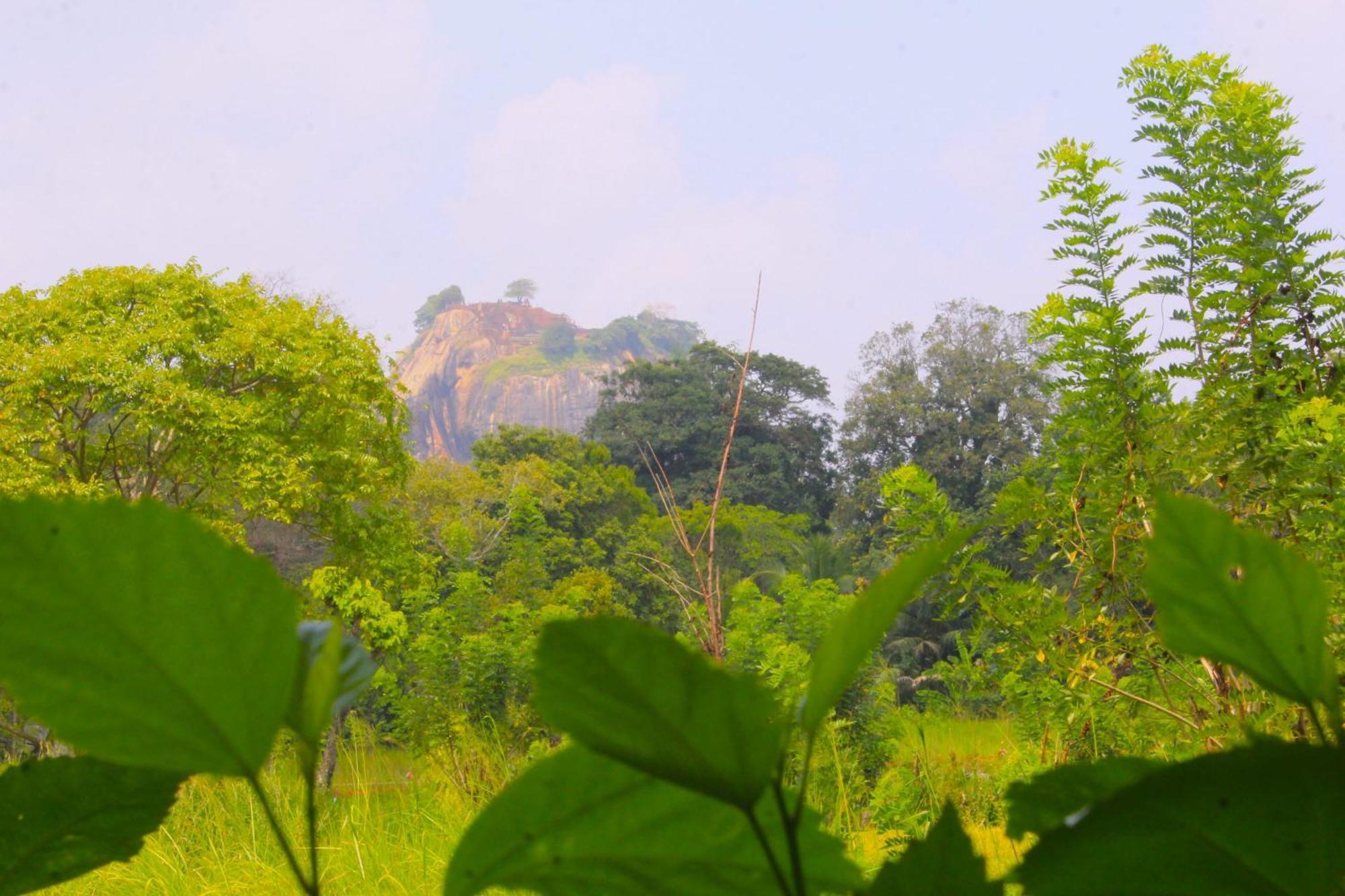 Sigiriya Palace View Exteriér fotografie