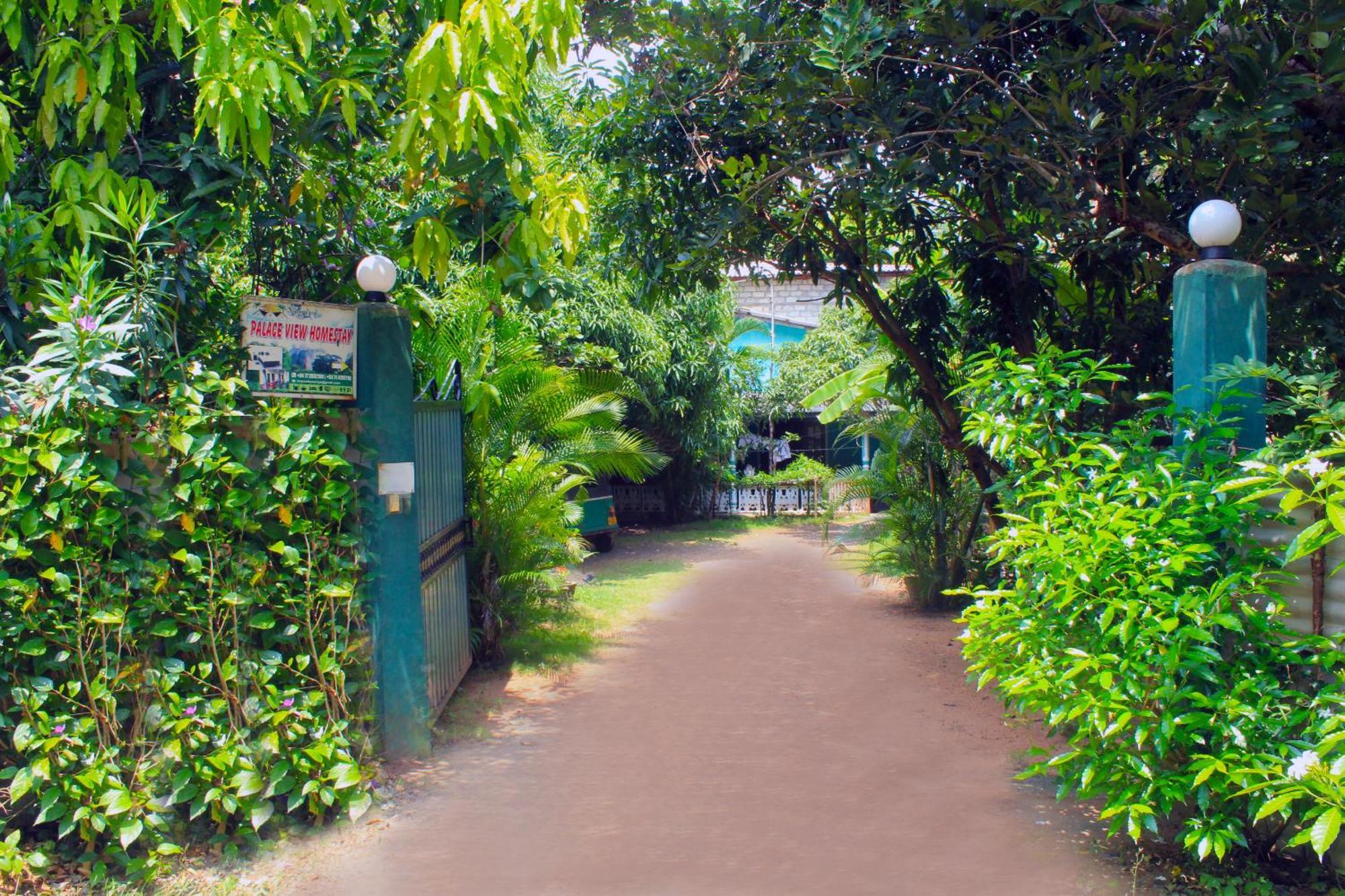 Sigiriya Palace View Exteriér fotografie
